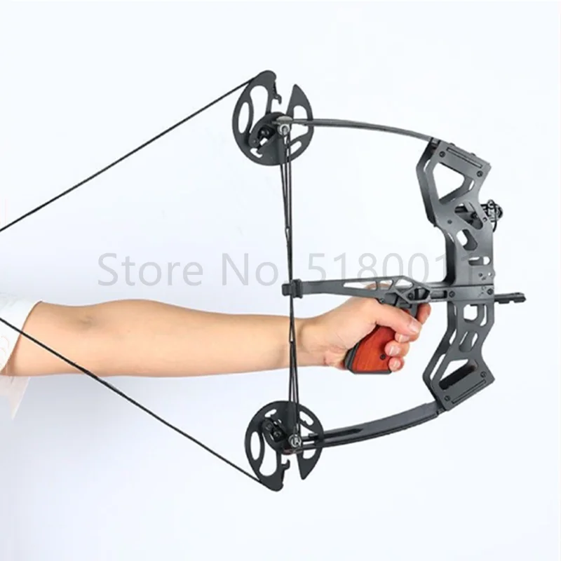 40 Pound Fishing Compound Bow  - Sports Equipment Archery 리뷰 및 가격