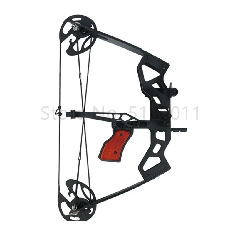40 Pound Fishing Compound Bow  - Sports Equipment Archery 리뷰 및 가격