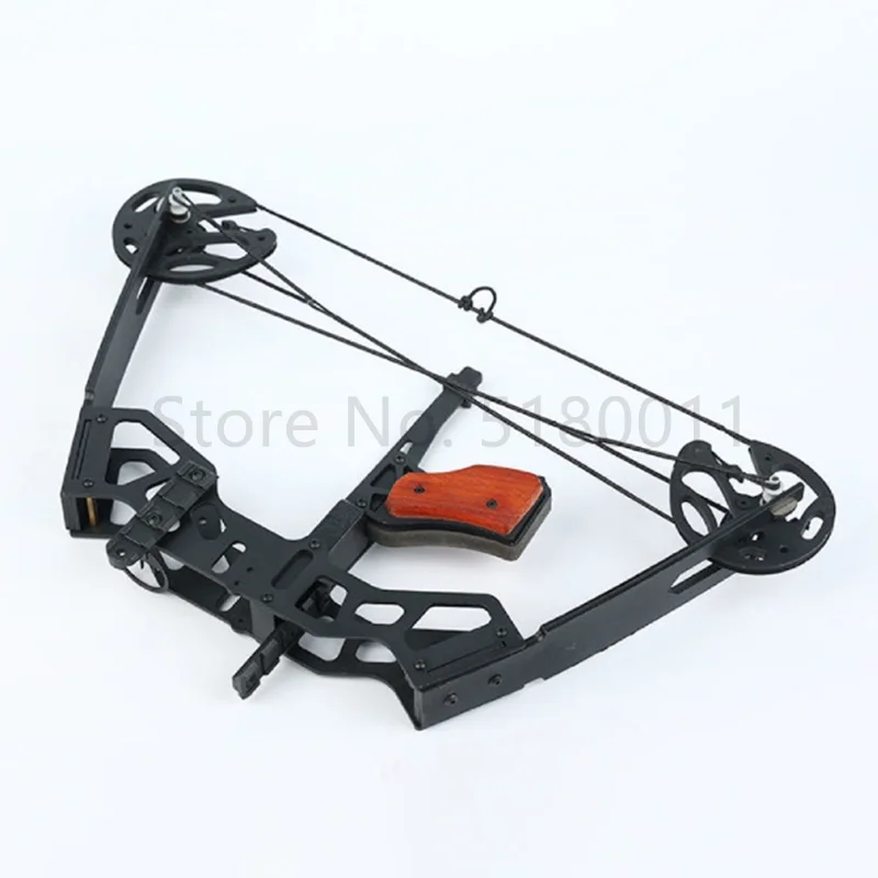 40 Pound Fishing Compound Bow  - Sports Equipment Archery 리뷰 및 가격