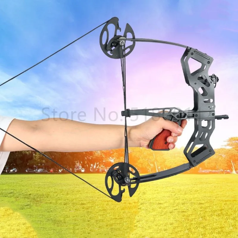 40 Pound Fishing Compound Bow  - Sports Equipment Archery 리뷰 및 가격