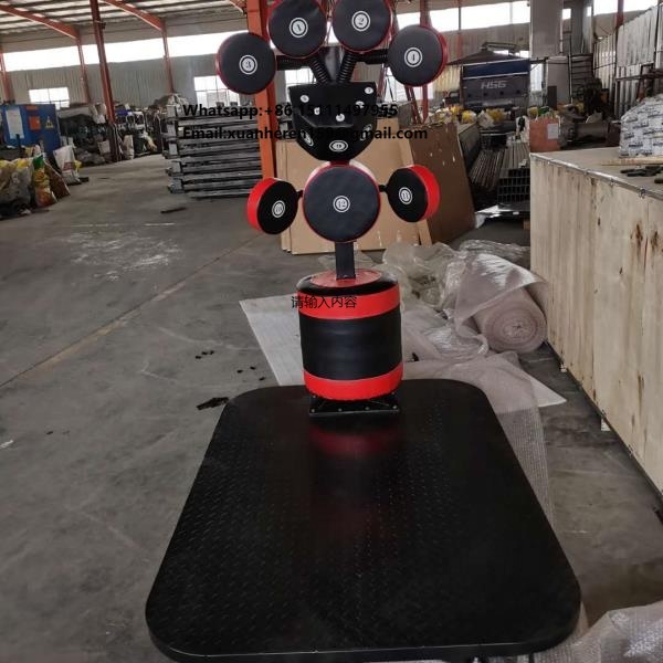 Gym Sports Equipment Professio - Sports Equipment Gym 리뷰 및 가격