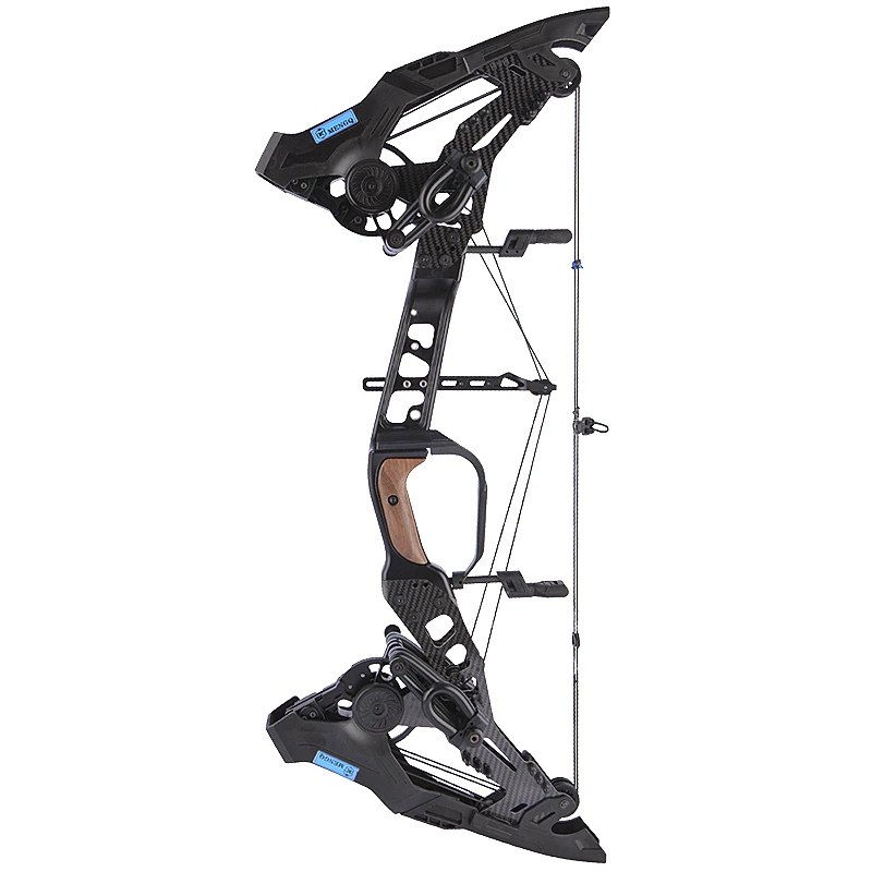 New Design Competitive Archery - Sports Equipment Archery 리뷰 및 가격