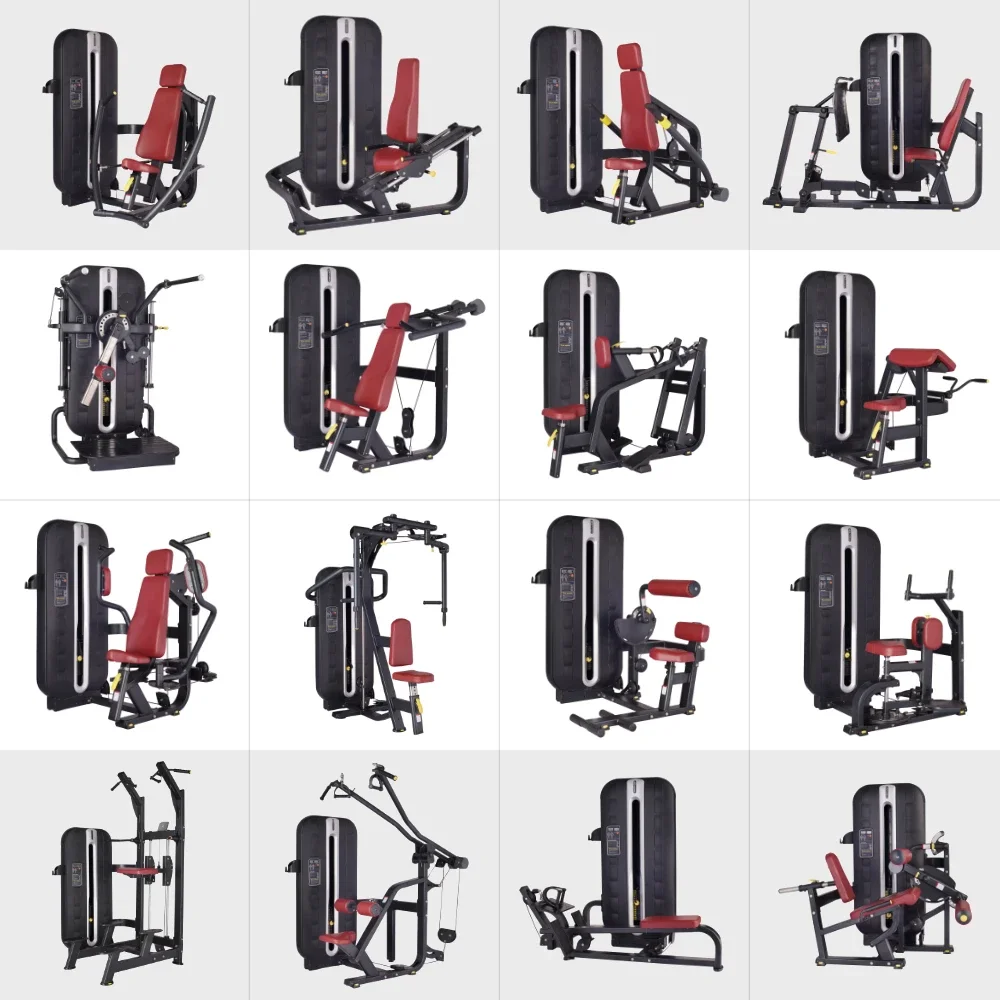2026BFT 1000 Series Commercial - Sports Equipment Suppliers 리뷰 및 가격