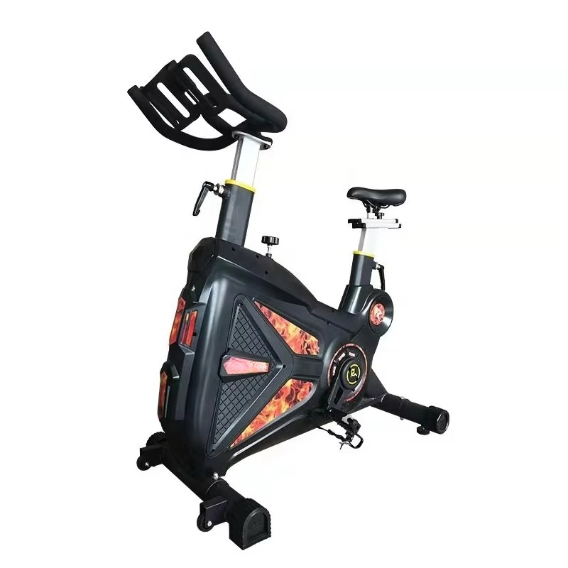 20kg Fly Wheel Spin Bike Cheap - Sports Equipment Cheap 리뷰 및 가격