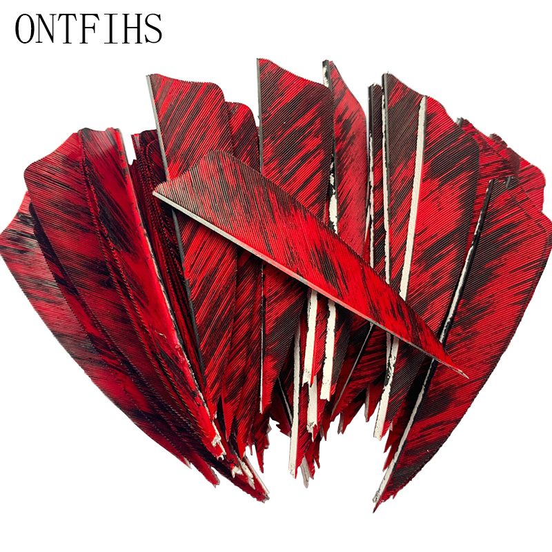 50Pcs New 3Inch Feather Arrows - Archery Target Face 리뷰 및 가격