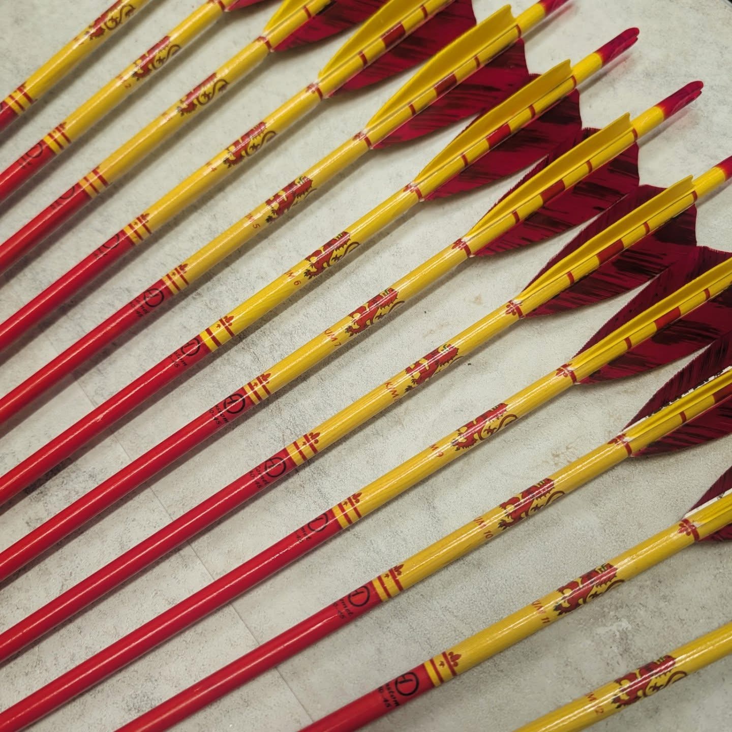 50Pcs New 3Inch Feather Arrows - Archery Target Face 리뷰 및 가격