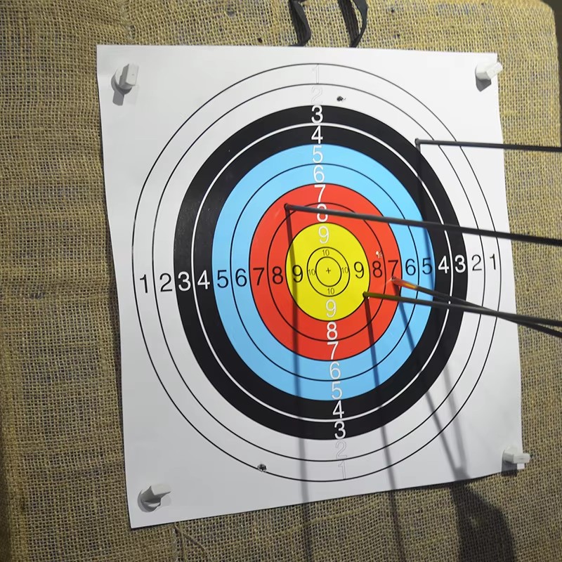 24pcs 40x40cm Durable Archery  - Archery Target Face 리뷰 및 가격