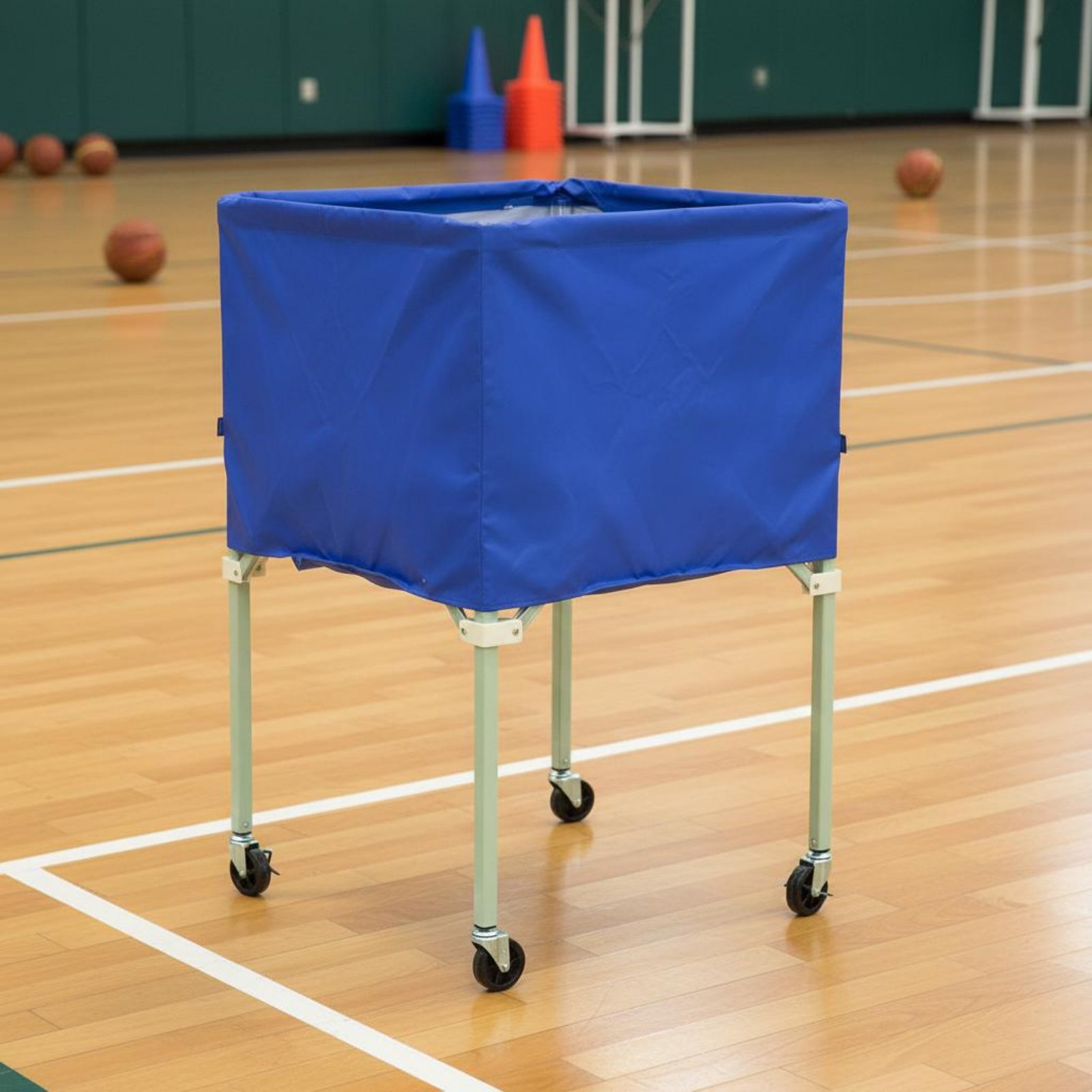 Ball Vehicle Cover Shielding S - Sports Equipment Organizer 리뷰 및 가격